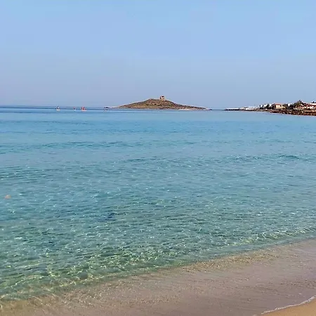 Isola